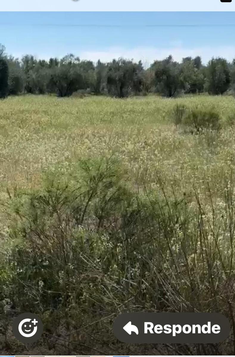 2 de 16: Area de terrenos