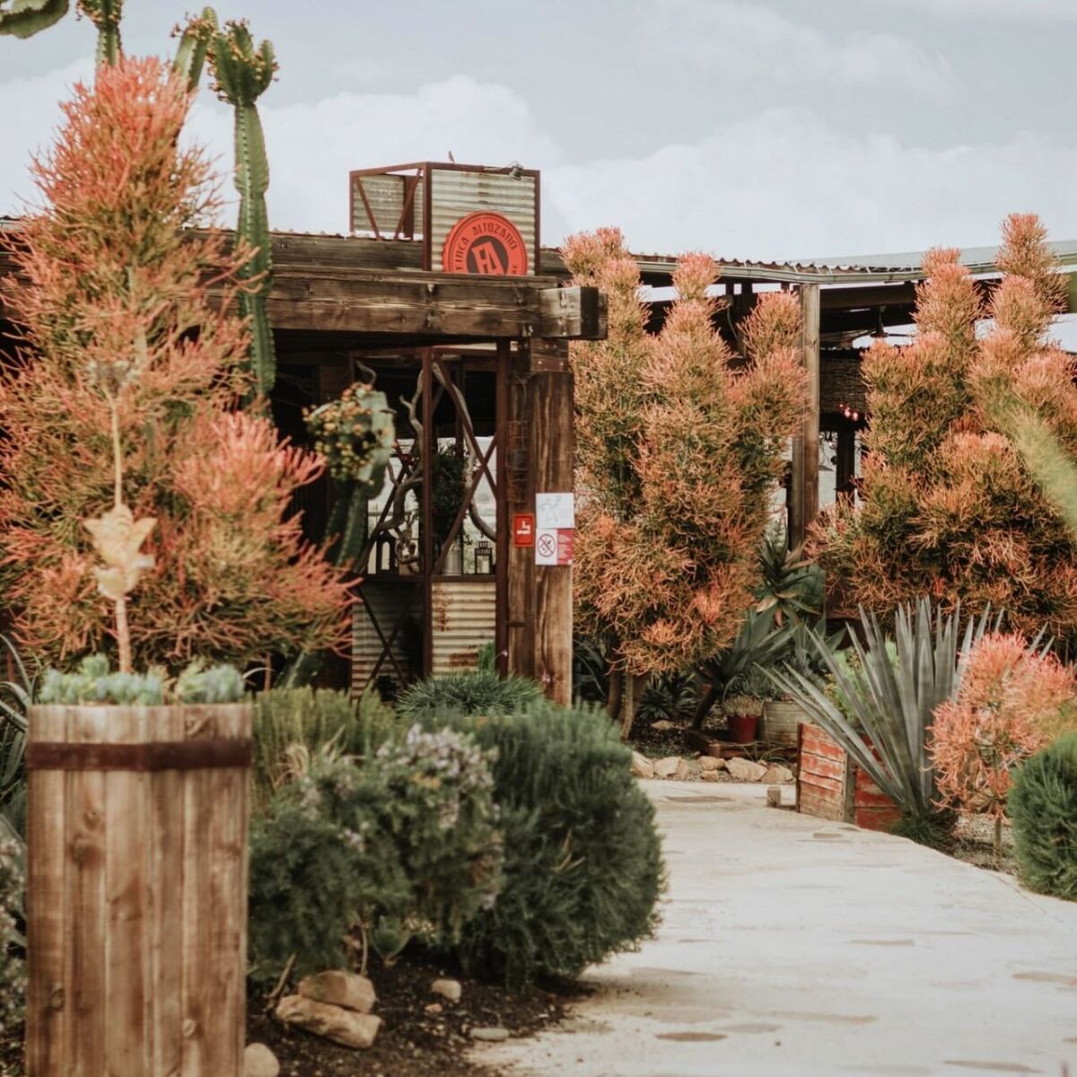 11 de 16: Colindante Finca Altozano