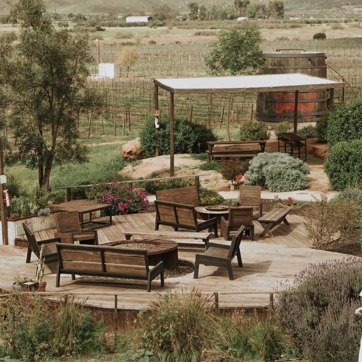 12 de 16: Colinadante Finca Altozano