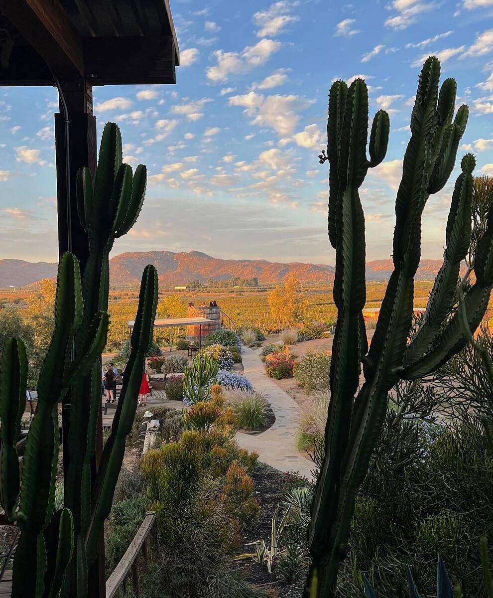 13 de 16: Colindante Finca Altozano