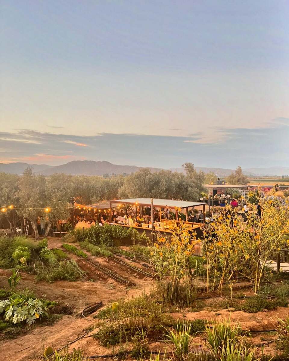 14 de 16: Finca Altozano