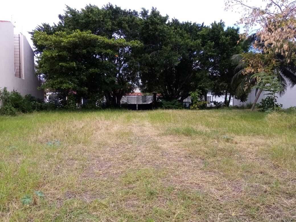 Casa en Miami, Carmen, foto 3 de 3
