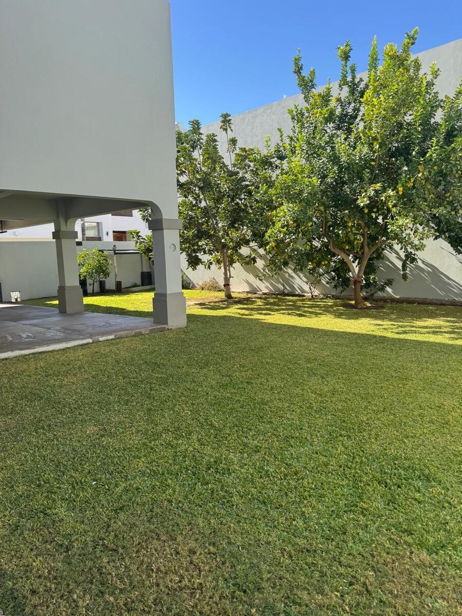 32 of 40: ARBOLES-FRUTALES-RIOJA-VENTA-SONORA-CARMEN-LABORIN-INMUEBLE