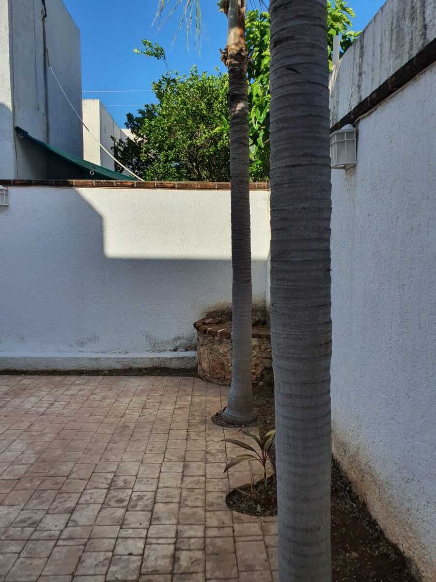 12 de 26: Terraza Trasera