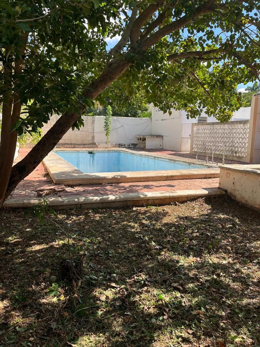 19 de 26: Amplio jardín