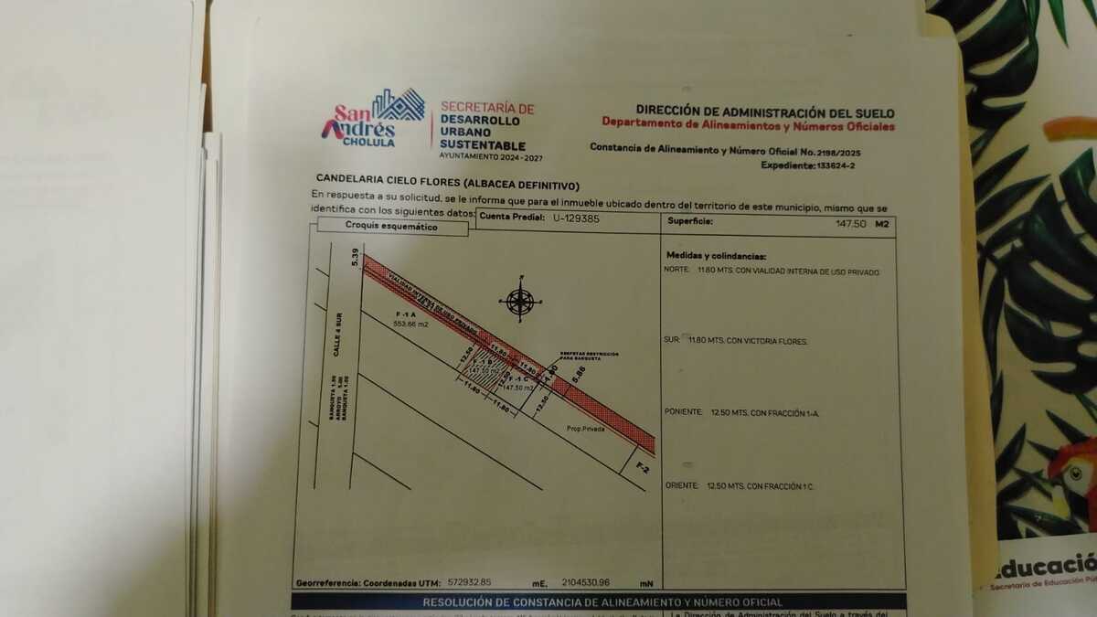 5 of 5: ALINEAMIENTO