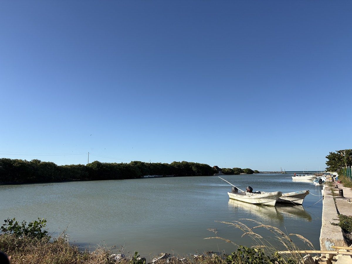 7 de 11: VISTA AL ACCEDER AL TERRENO