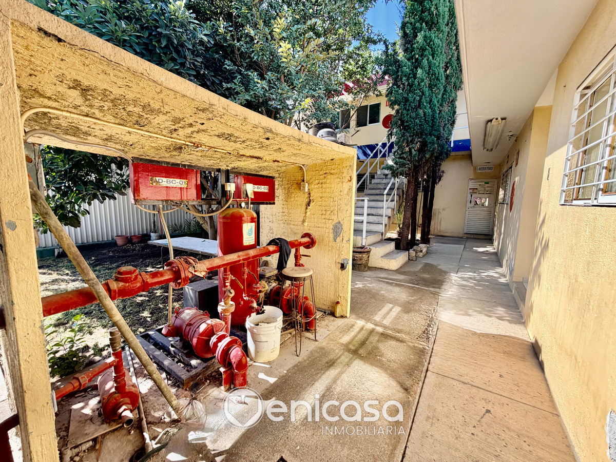 10 of 48: IMG_4768.jpg