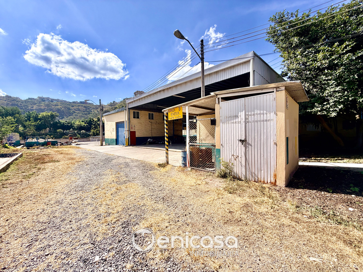 19 of 48: IMG_4832.jpg