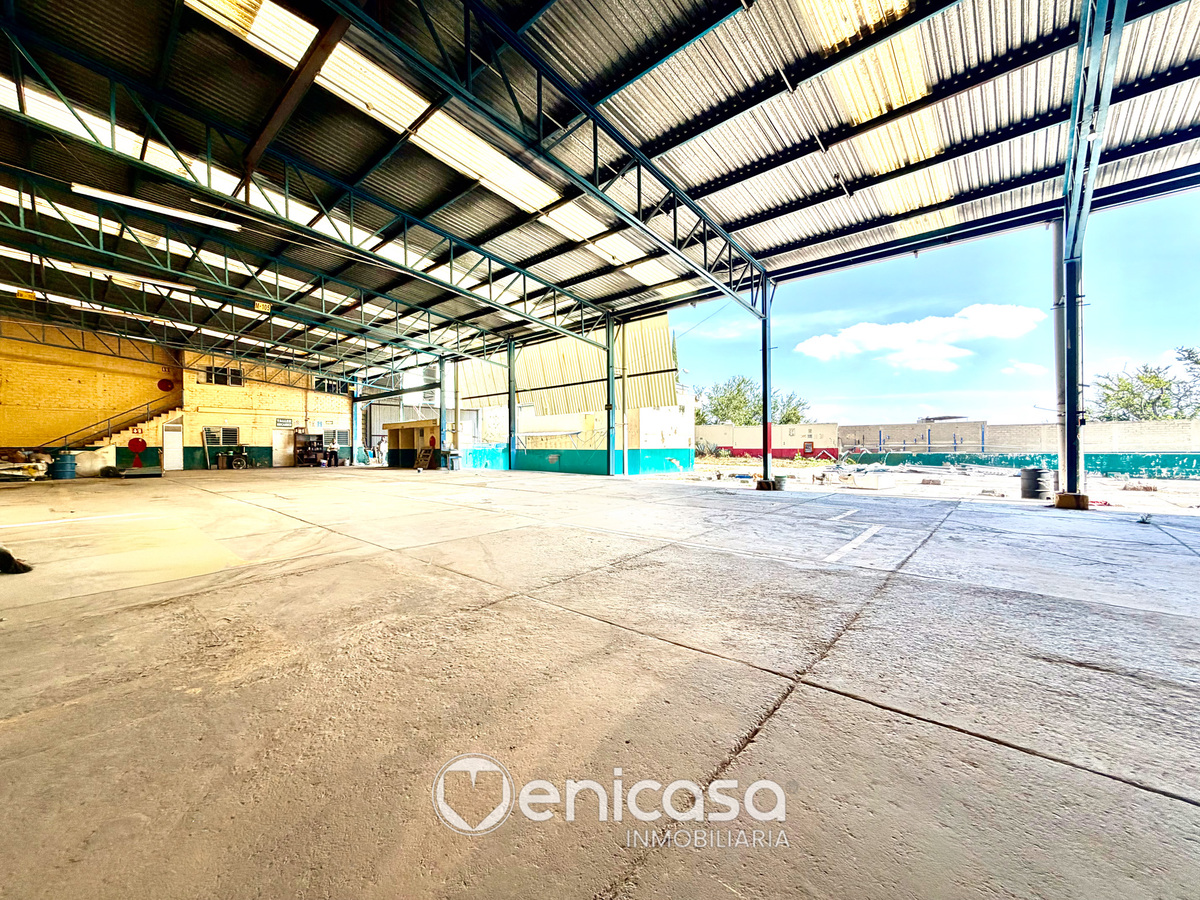 25 of 48: IMG_4850.jpg