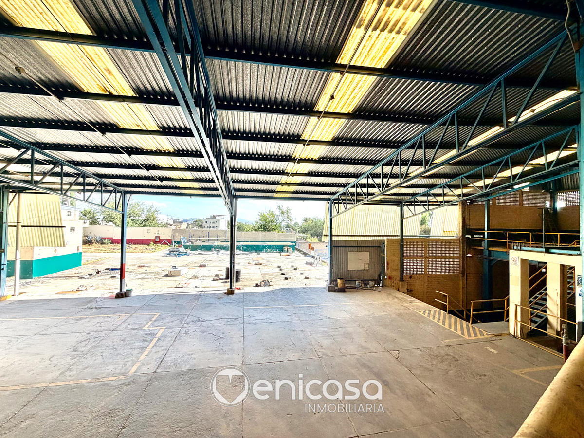 31 of 48: IMG_4872.jpg