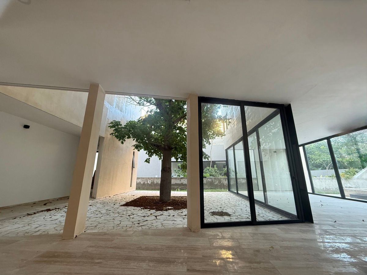 2 de 42: Patio central ceiba