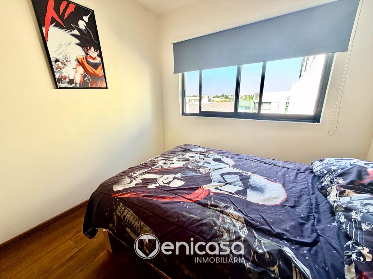 25 de 45: IMG_5421.jpg