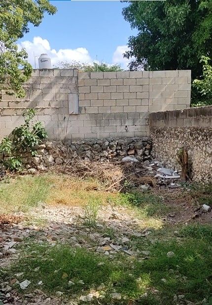 8 de 8: Patio trasero