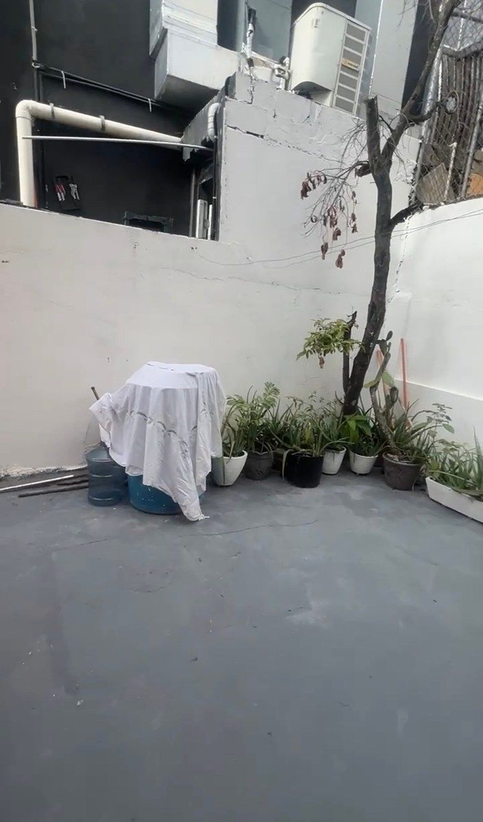 12 de 13