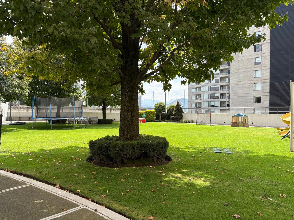 23 de 24: Jardín exterior del edificio