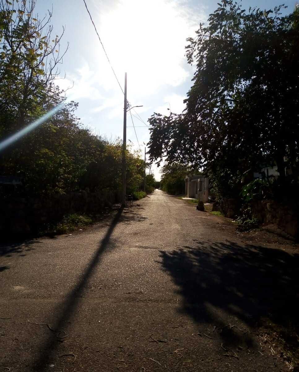 4 de 4: Vista de las calles