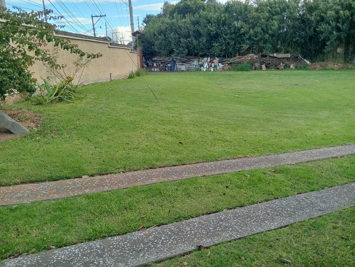8 de 14