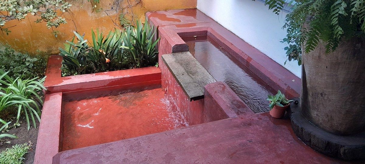13 de 17