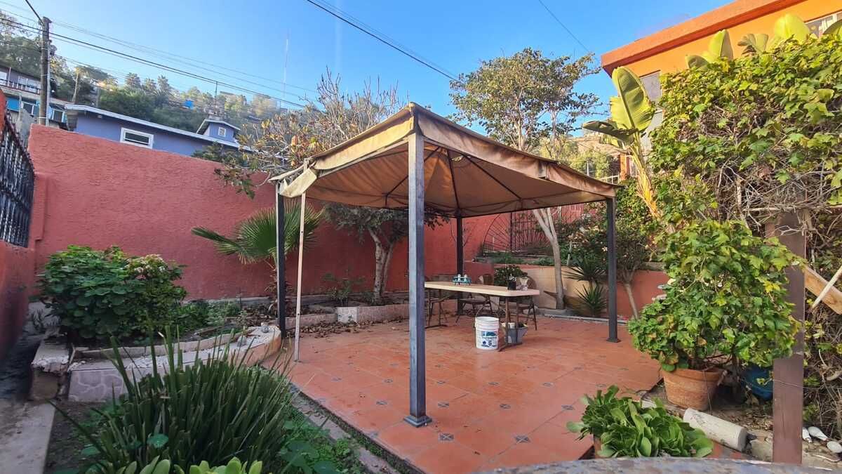 6 de 34: Patio y jardin