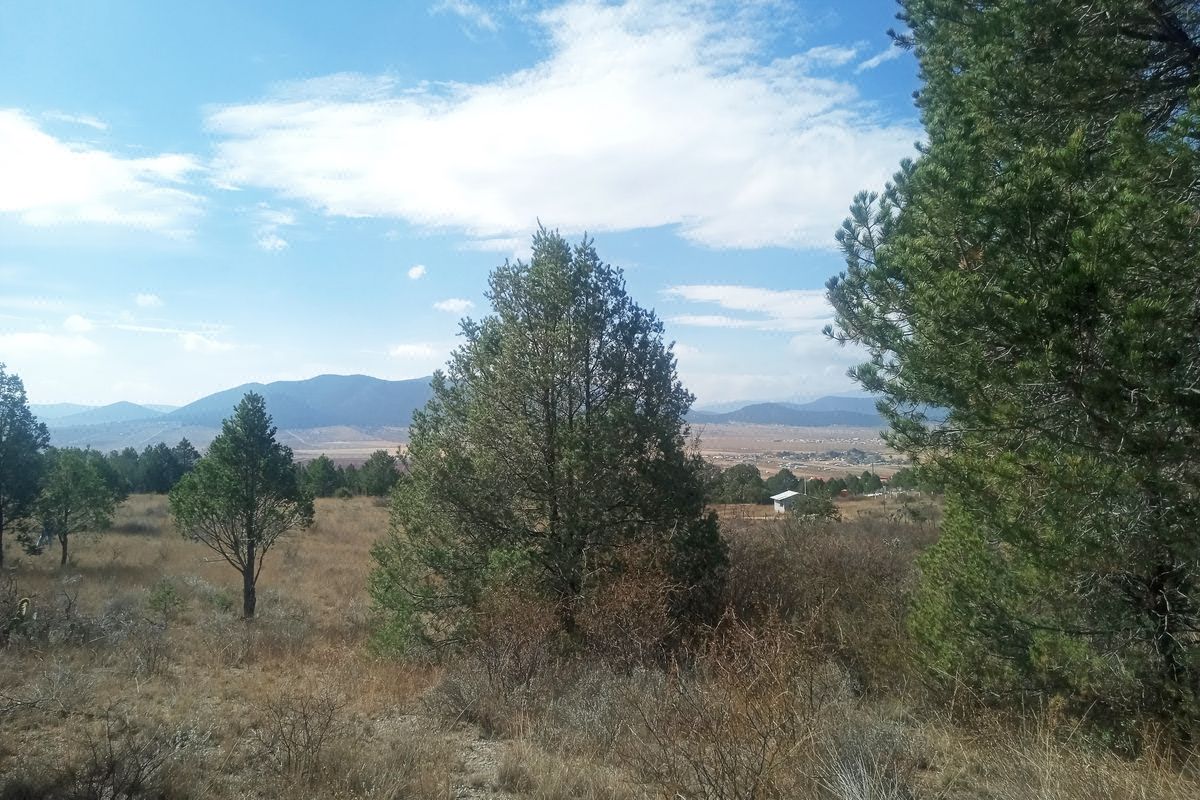 Terreno Campestre en VENTA en Ejido San Juanito