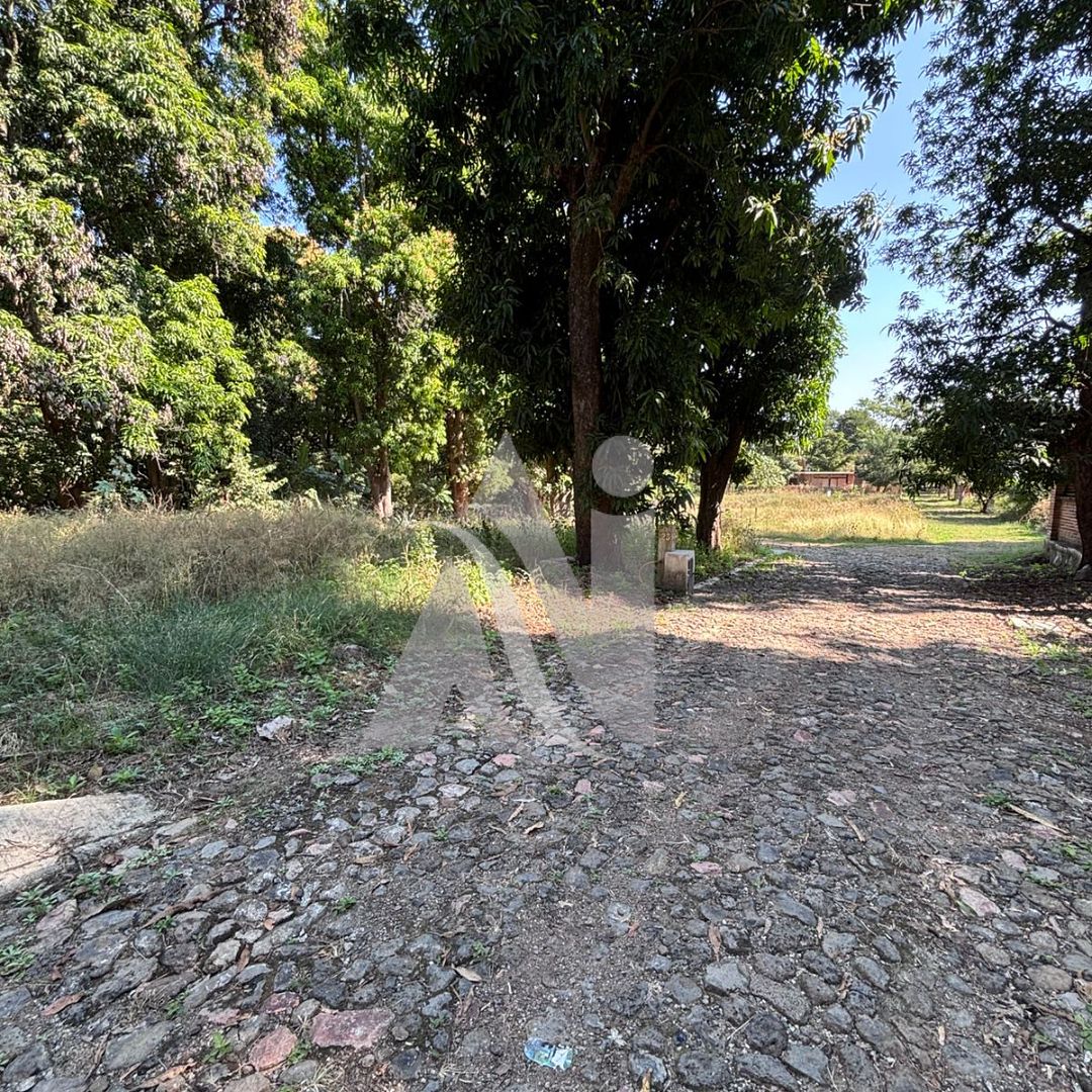 Lot in La Mula, Tequila, photo 5 of 5