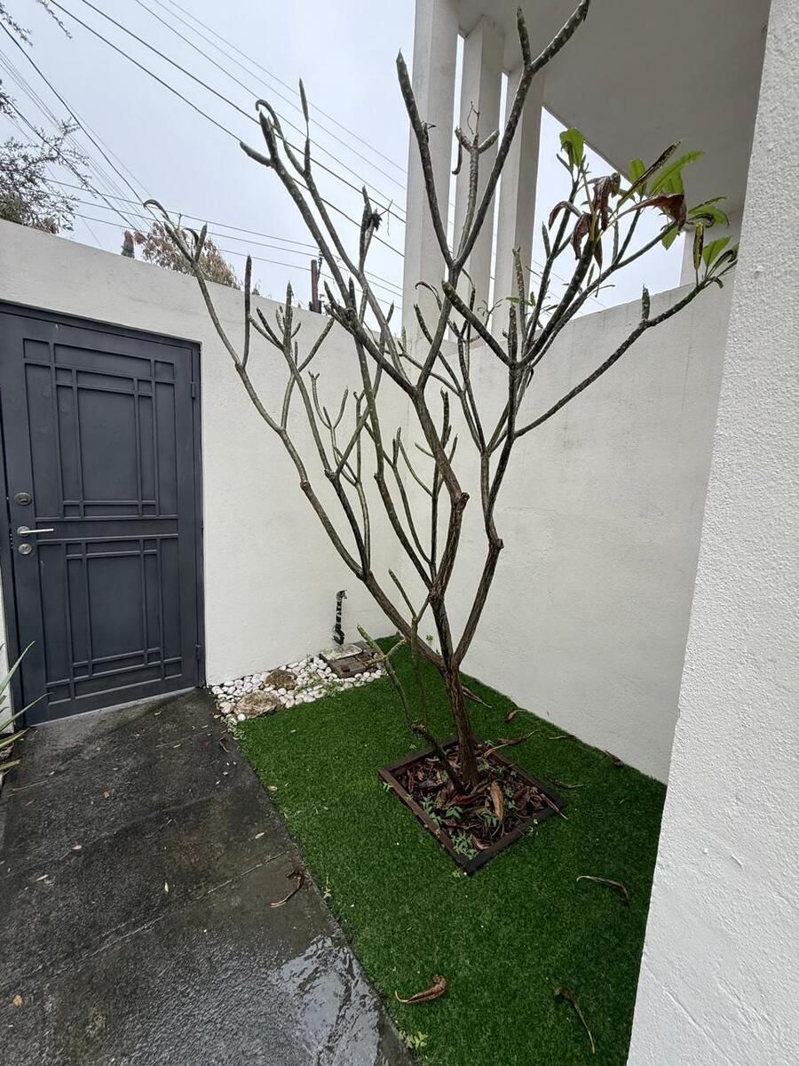 17 de 20: Entrada departamentos