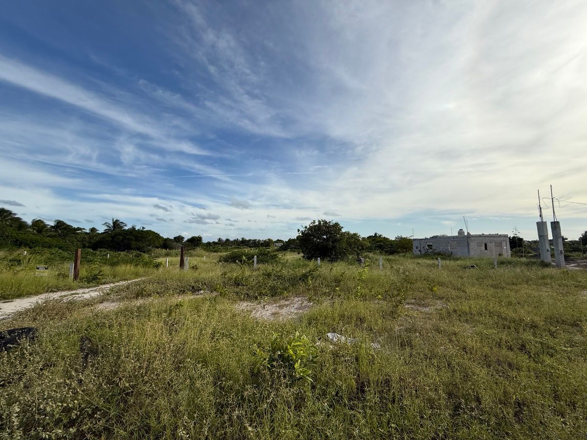 Terreno en Chelem - foto 5