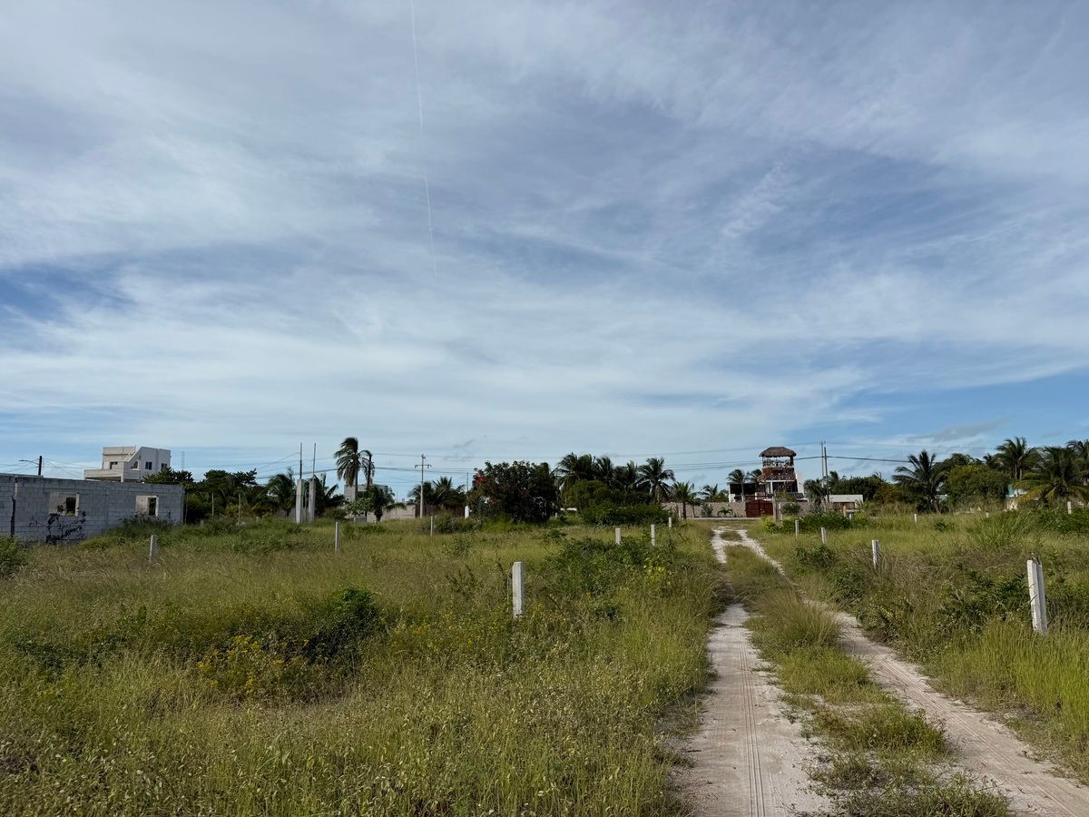 Terreno en Chelem - foto 3