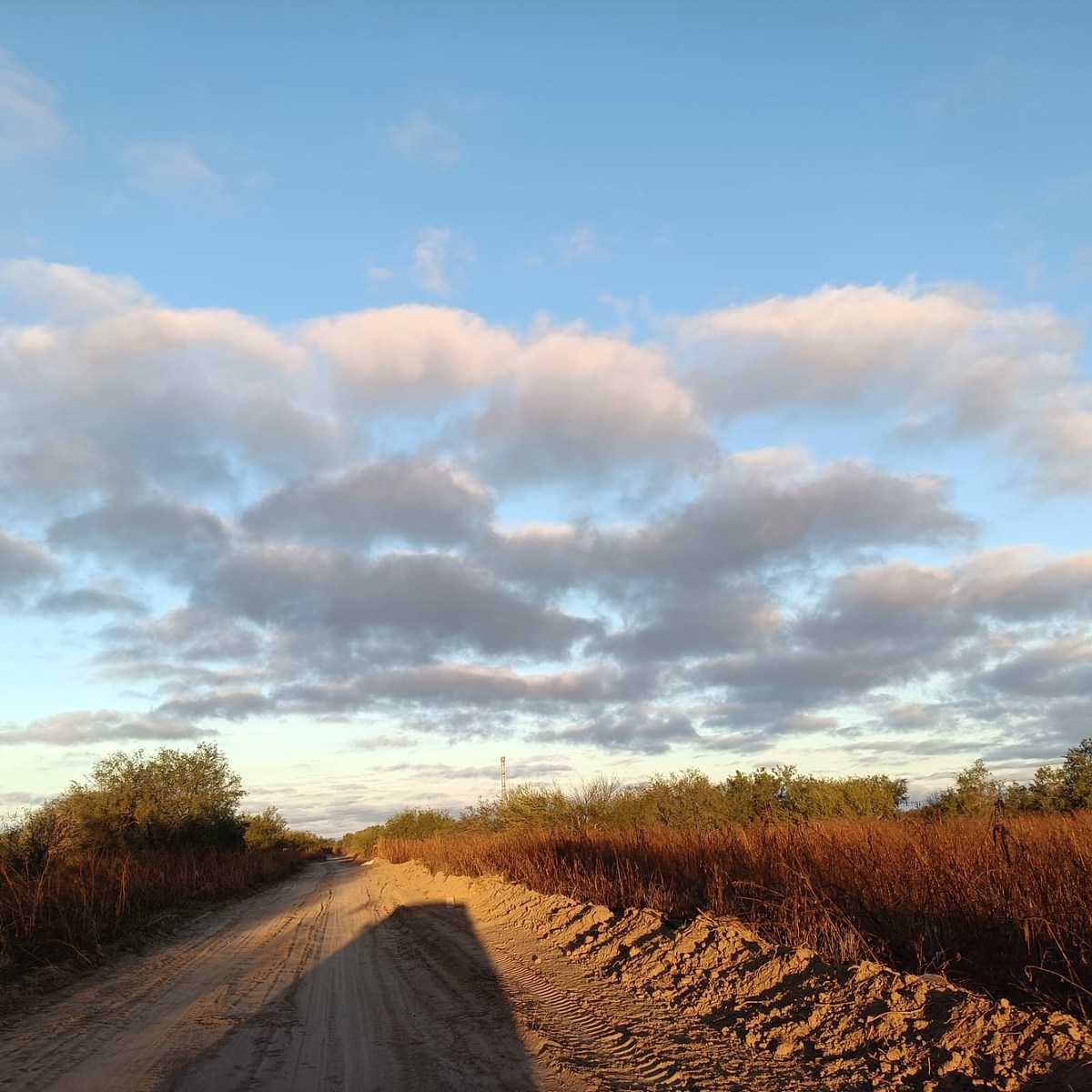 5 de 16: Zona campestre