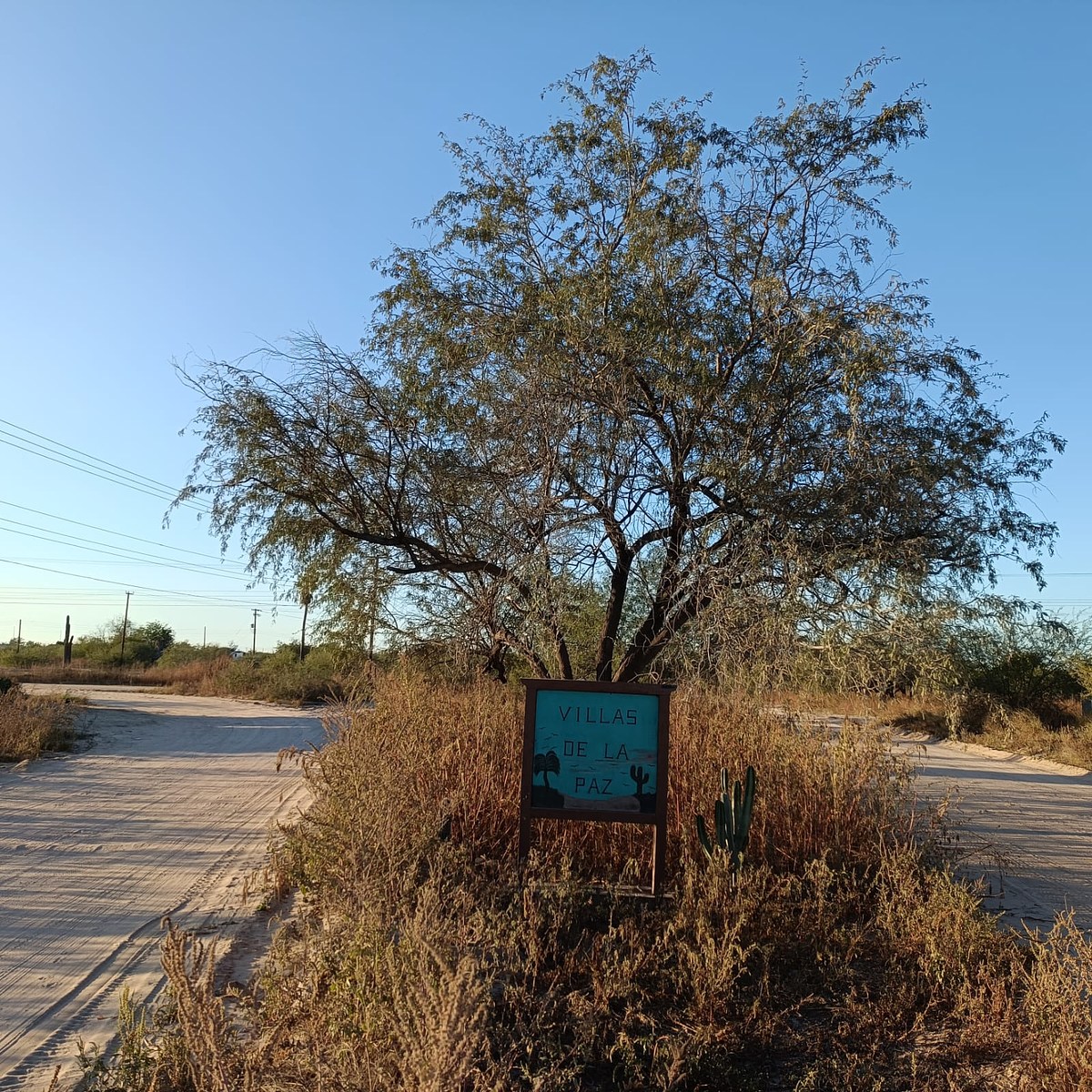 1 de 16: Campestre Villas de La Paz