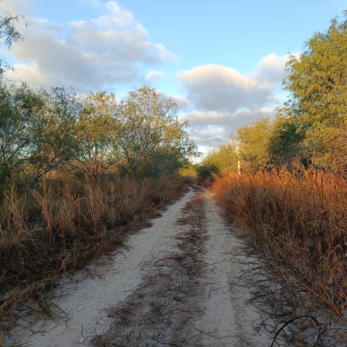 4 de 16: Rodeado de vegetación endémica