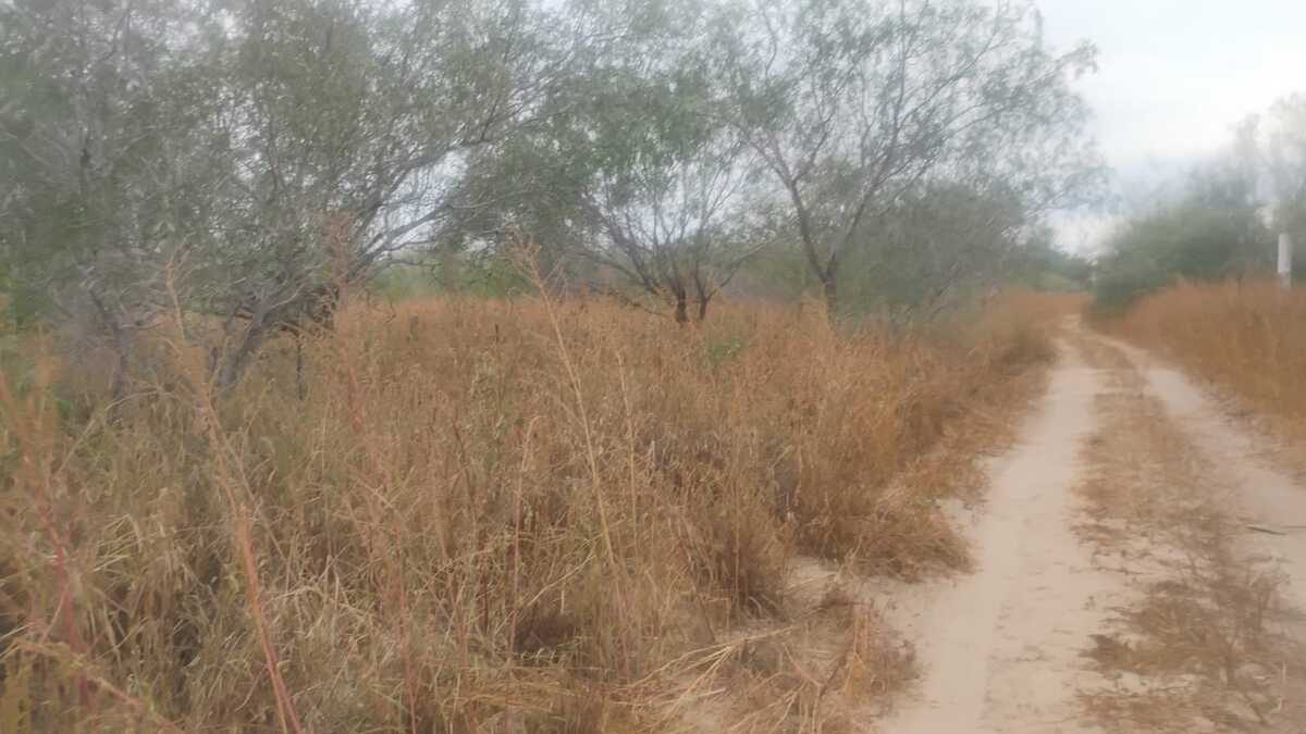 10 de 16: Ideal para inversión