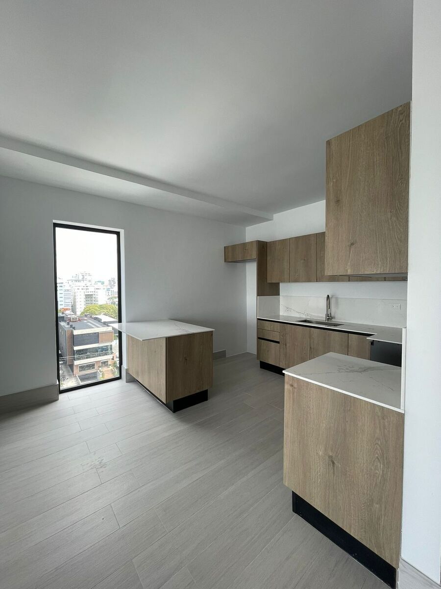 Apartment in Piantini, Santo Domingo Centro (Distrito Nacional), photo 5 of 17