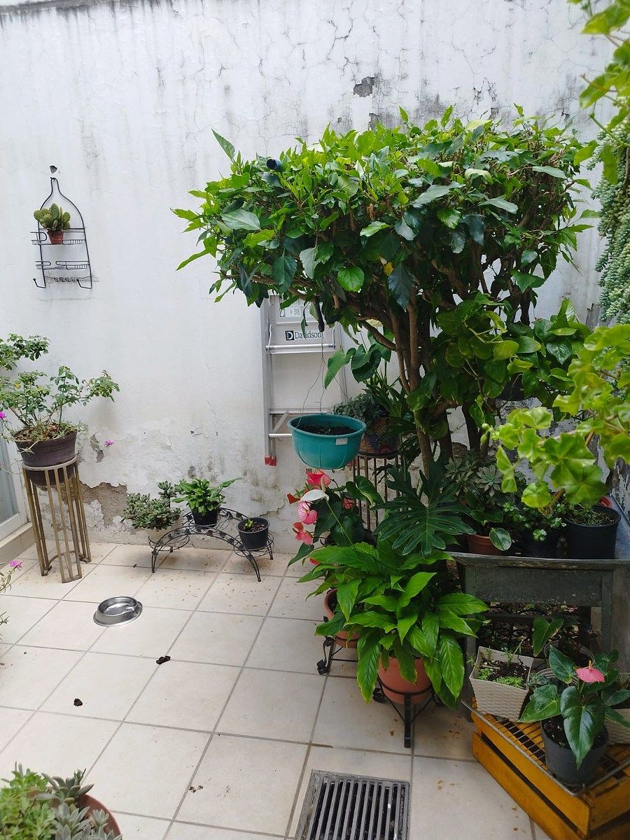 Casa en Ciudad Granja, Zapopan, foto 13 de 25