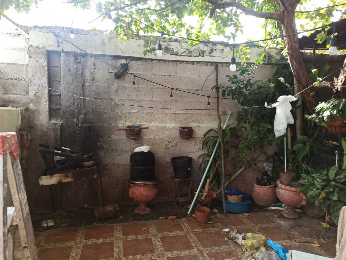 5 de 39: Terraza delantera - árbol de guayaba