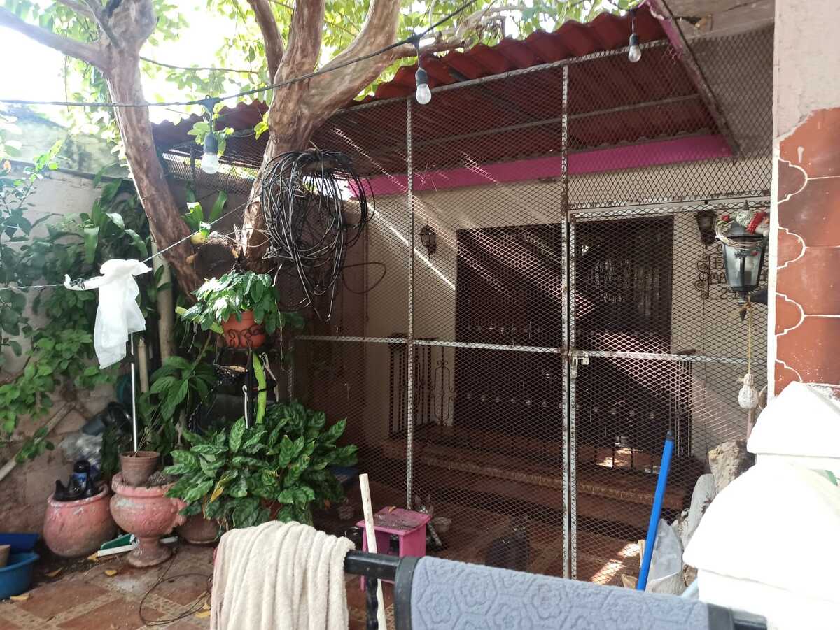 6 de 39: Terraza delantera