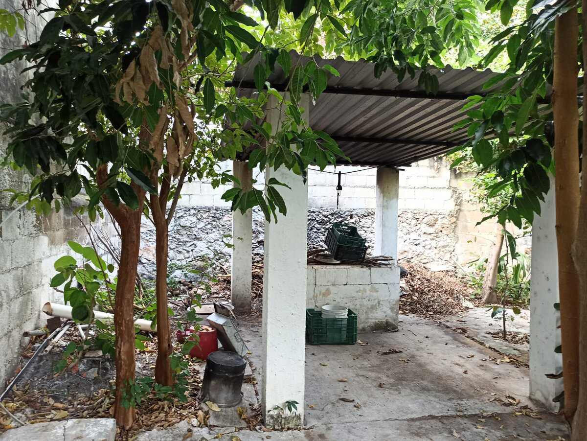 33 de 39: Asados con área techada