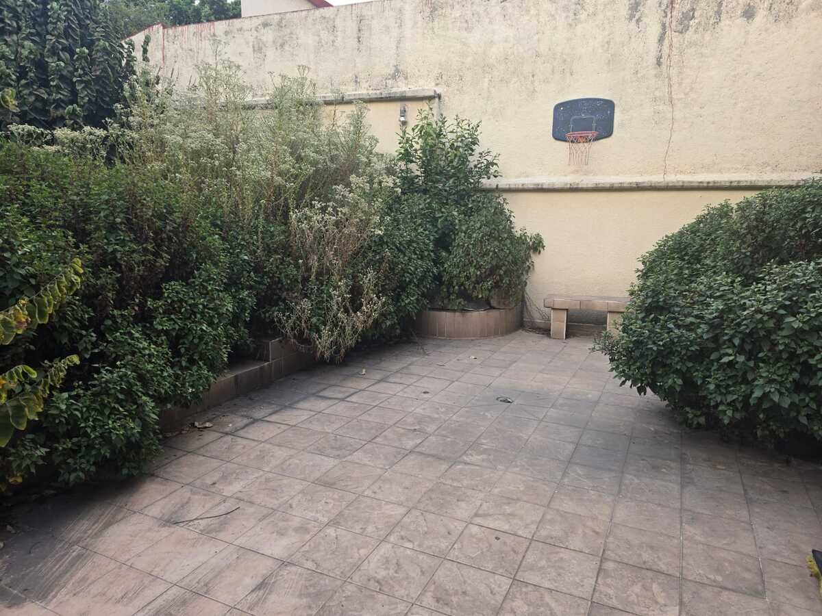 6 de 18: Terraza y jardín