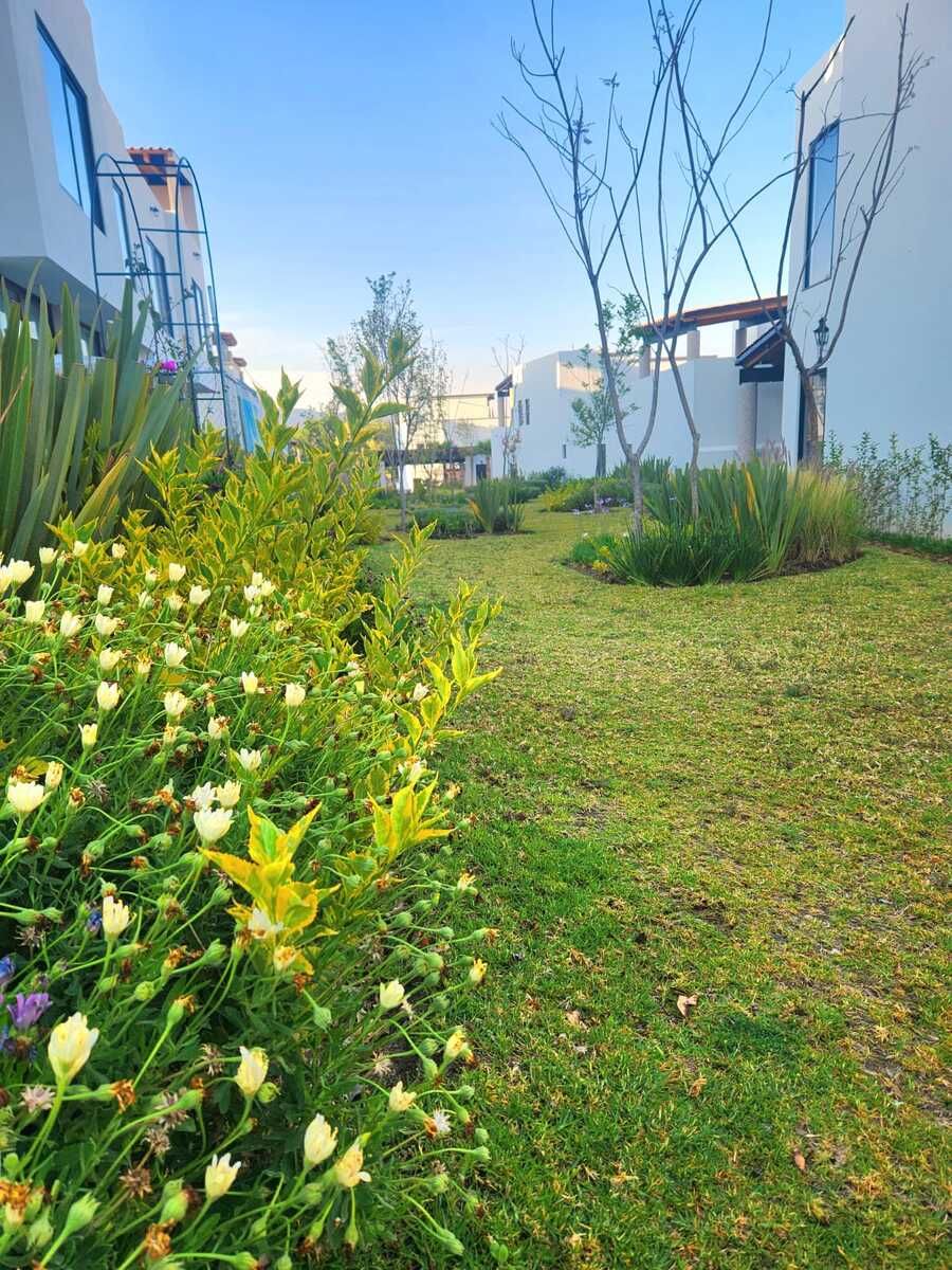 10 de 10: Bellos jardines