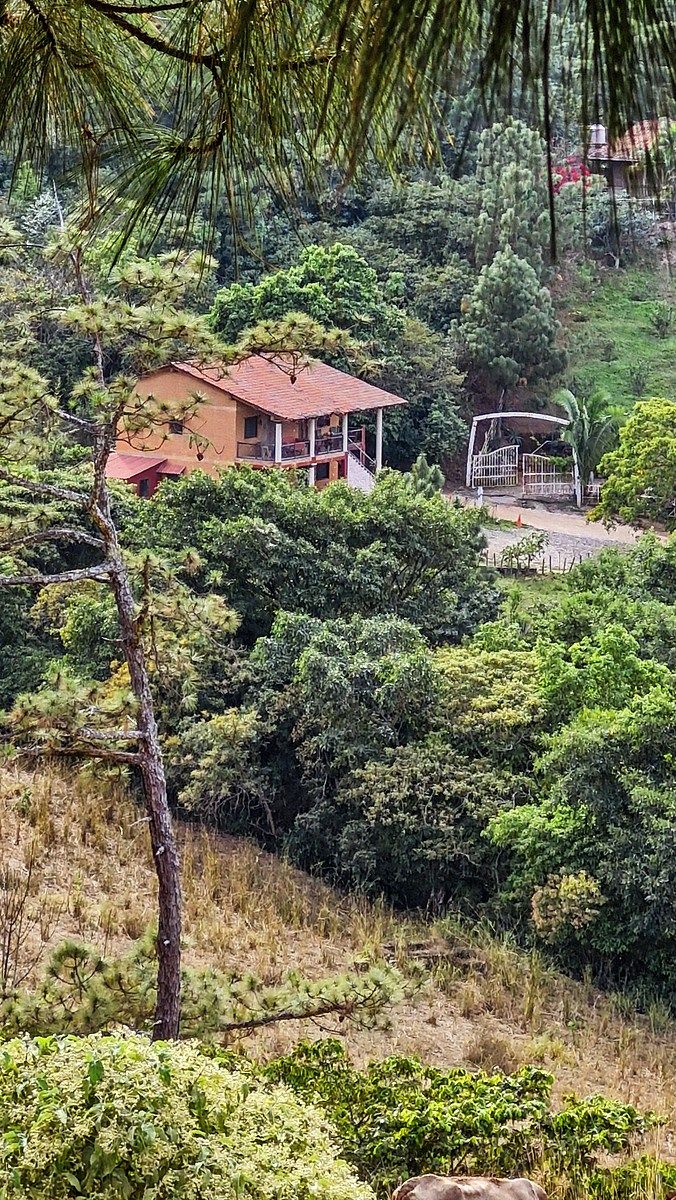 Casa em San Sebastián Del Oeste, San Sebastián del Oeste, foto 21 de 25