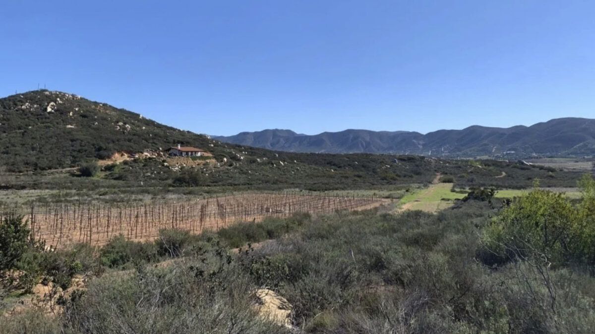 Terreno en Venta en Valle de Guadalupe