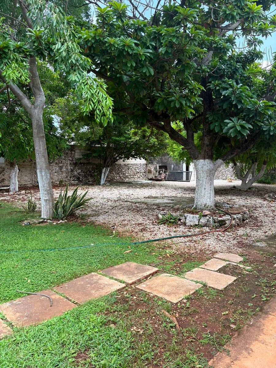 Casa em Mérida Centro, Mérida, foto 22 de 35
