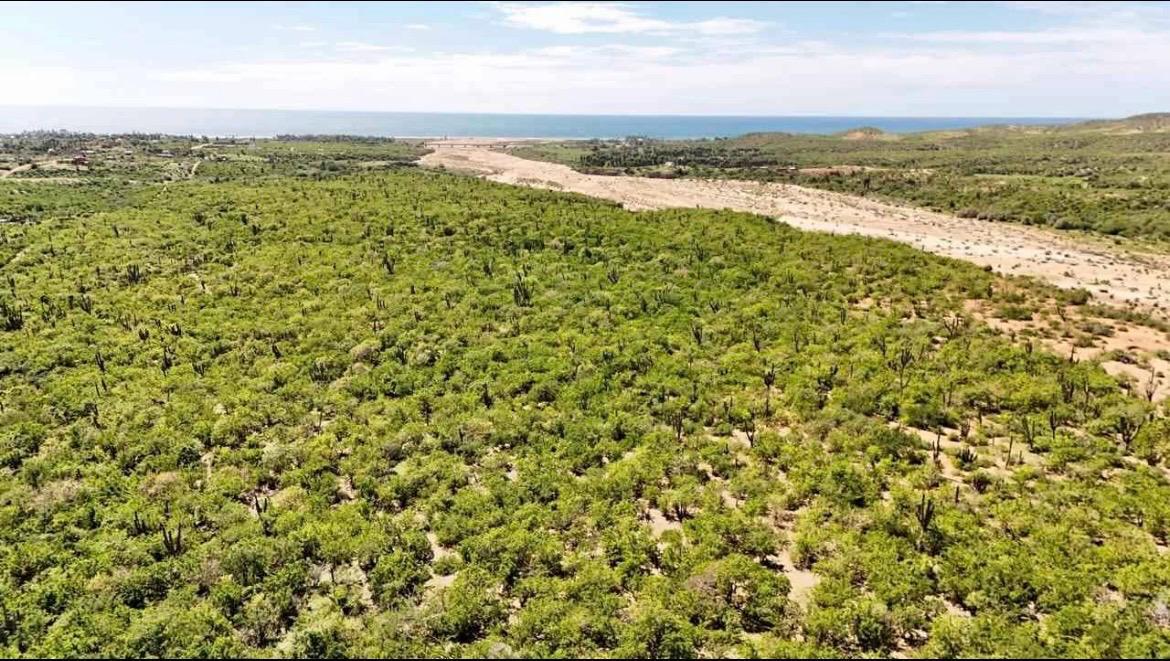 8 de 11: Scenic view