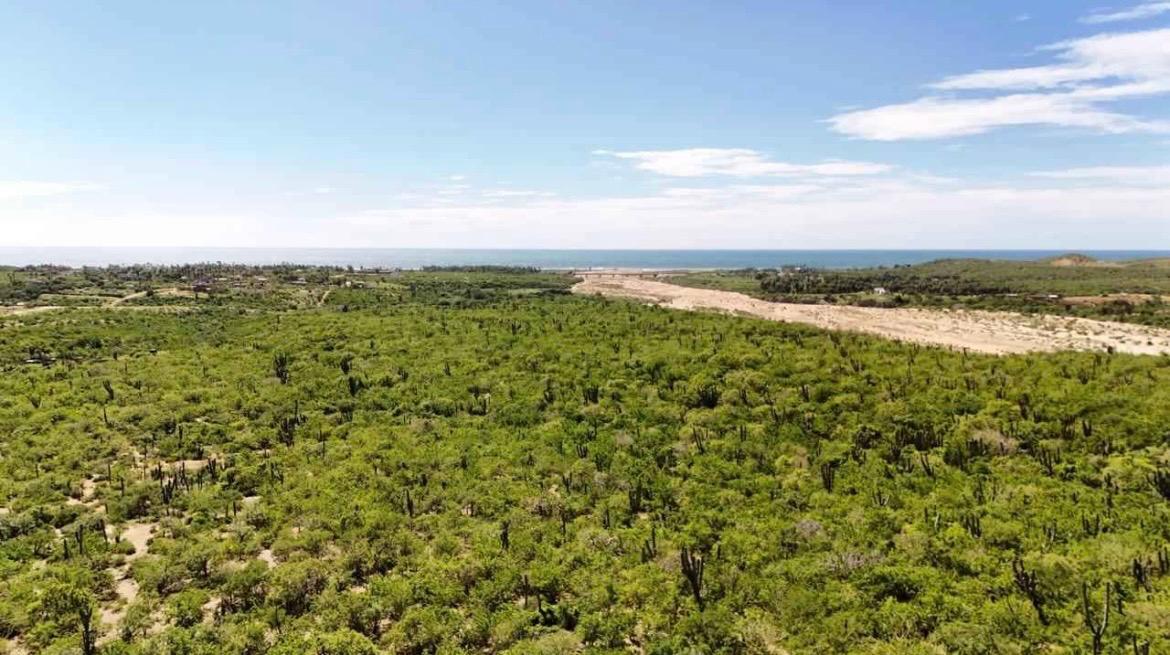 9 de 11: Scenic view