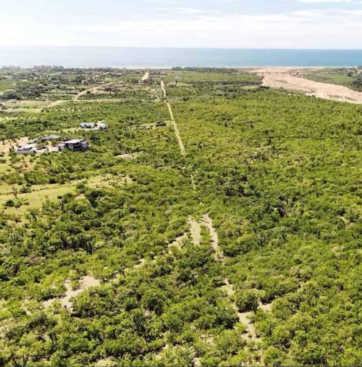 10 de 11: Neighborhood