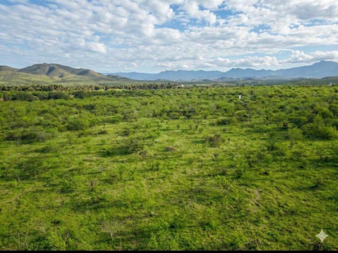 11 de 11: Scenic view / back / mountains