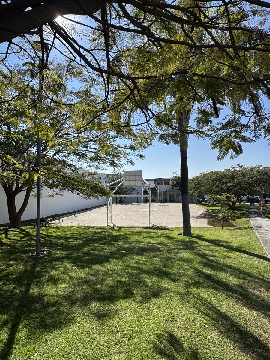 31 de 34: Jardín común