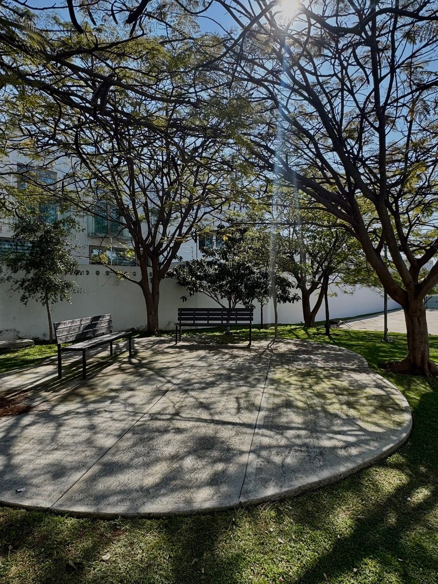 32 de 34: Jardín común