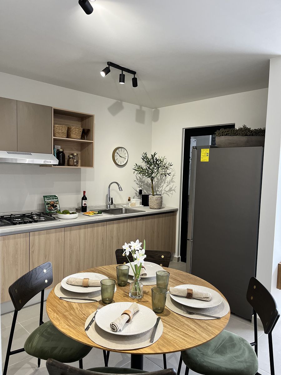 6 de 11: *Modelo Padua